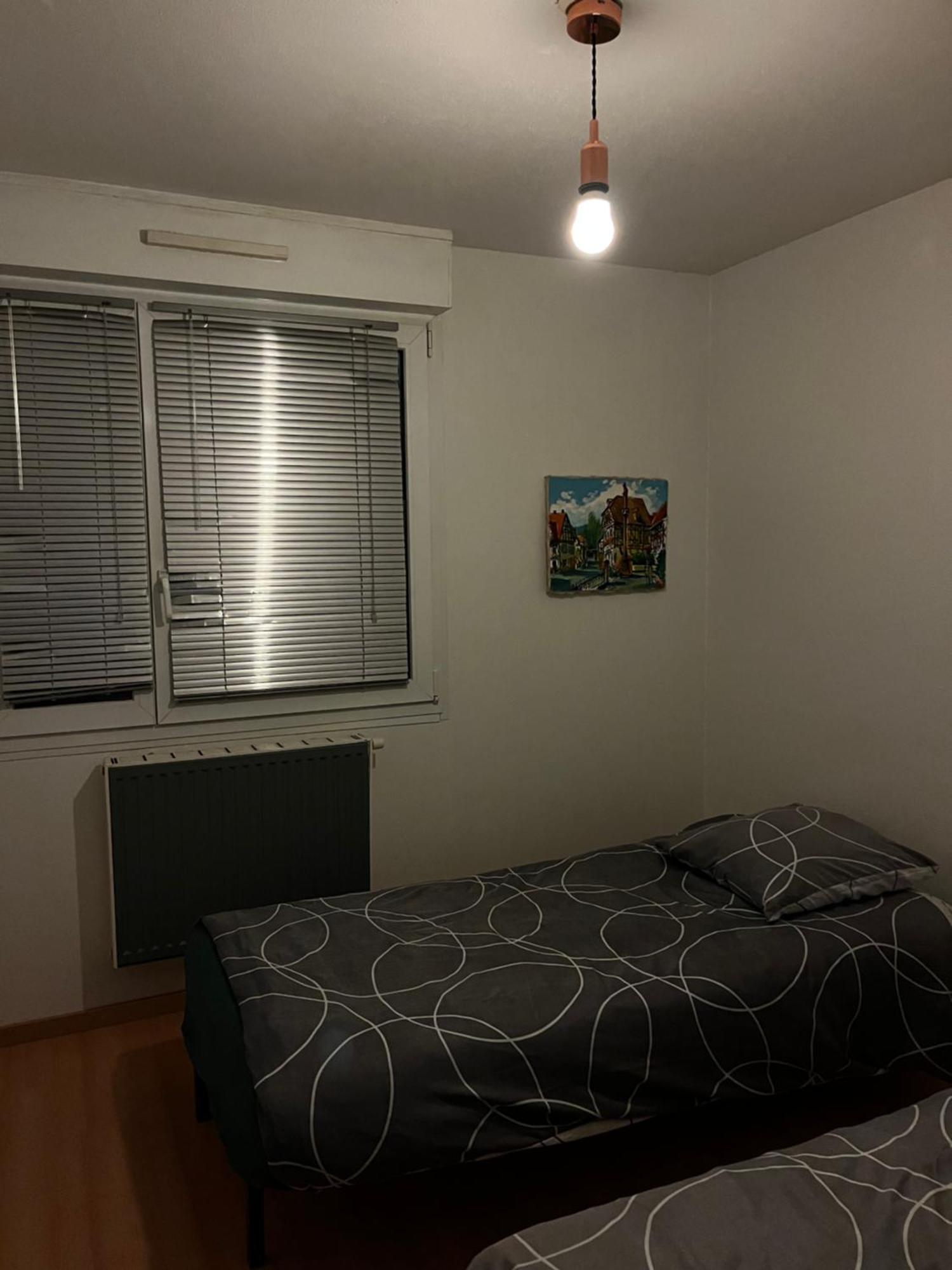 Apollon Robertsau Apartment